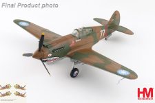 Hobby Master 1/48 AVG Flying Tigers Curtiss P-40 Warhawk (HA9207)